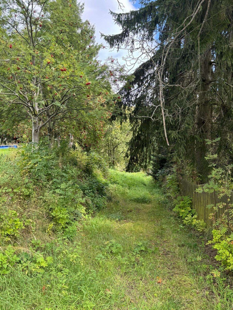 Oberwiesenthal