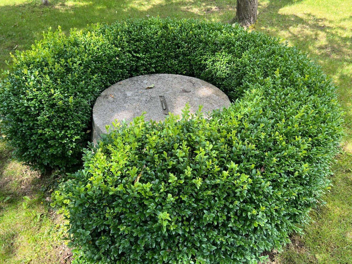 Brunnen